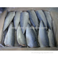 Filete de caballa del Pacífico congelado de pescado chino